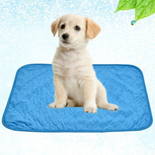 Load image into Gallery viewer, Pet Cooling Mat Blanket
