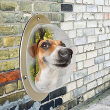 Load image into Gallery viewer, Pet Window Fence