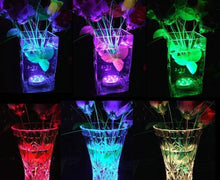 Load image into Gallery viewer, Pool Light