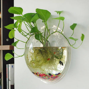 Acrylic Wall Hanging  Fish Bowl Aquarium