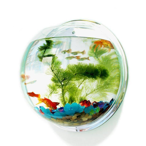 Acrylic Wall Hanging  Fish Bowl Aquarium