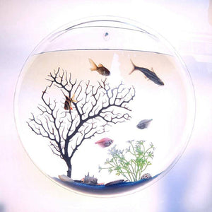 Acrylic Wall Hanging  Fish Bowl Aquarium