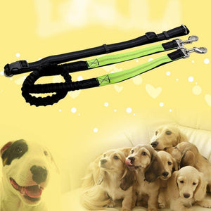 Adjustable Hands Free Bungee Dog Leash