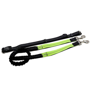 Adjustable Hands Free Bungee Dog Leash