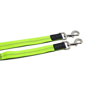 Adjustable Hands Free Bungee Dog Leash