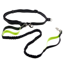 Load image into Gallery viewer, Adjustable Hands Free Bungee Dog Leash