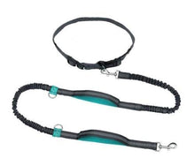 Load image into Gallery viewer, Adjustable Hands Free Bungee Dog Leash