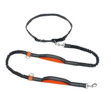 Load image into Gallery viewer, Adjustable Hands Free Bungee Dog Leash