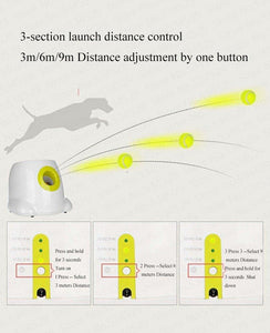 Automatic Ball Throwing Machine