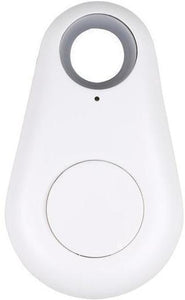 Bluetooth GPS Anti Lost Keychain