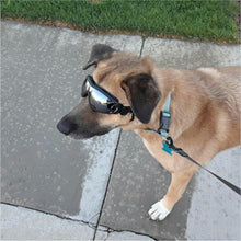 Load image into Gallery viewer, Cool Dog Googles with UV-Protection