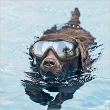 Load image into Gallery viewer, Cool Dog Googles with UV-Protection