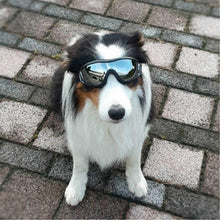 Load image into Gallery viewer, Cool Dog Googles with UV-Protection