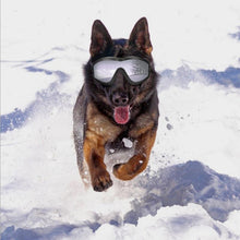 Load image into Gallery viewer, Cool Dog Googles with UV-Protection