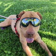 Load image into Gallery viewer, Cool Dog Googles with UV-Protection