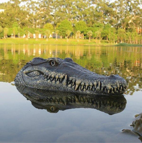 Crocodile Head Remote Control