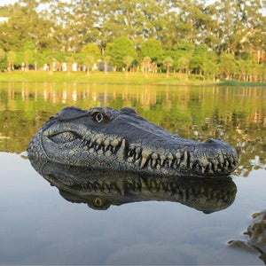 Crocodile Head Remote Control