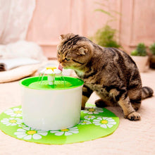 Load image into Gallery viewer, Cute Pet Water Drinking Fountain
