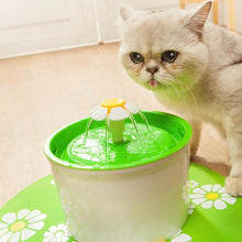 Load image into Gallery viewer, Cute Pet Water Drinking Fountain