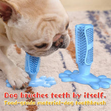 Load image into Gallery viewer, Dog Toothbrush Toy