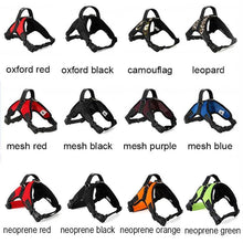 Load image into Gallery viewer, Dog Vest Harness