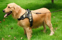 Load image into Gallery viewer, Dog Vest Harness