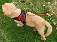 Load image into Gallery viewer, Dog Vest Harness
