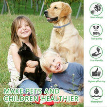 Load image into Gallery viewer, Electric Flea &amp; Lice Cleaning Comb