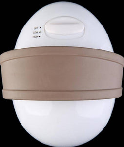 Electric Full Body Massager and Fat Burner