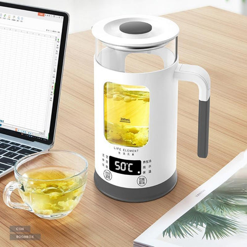 Electric Kettle
