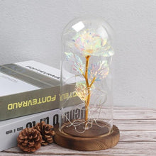 Load image into Gallery viewer, Enchanted Galaxy  Rose LED Glass Display