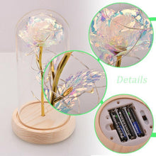 Load image into Gallery viewer, Enchanted Galaxy  Rose LED Glass Display