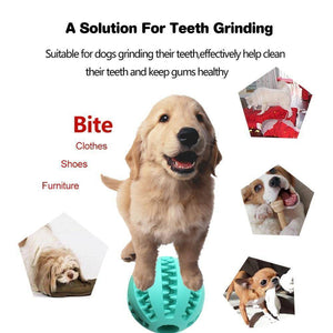 Extra Tough Rubber Ball For Dogs
