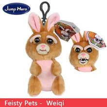 Load image into Gallery viewer, Feisty Funny Expression Pets Plush Toy