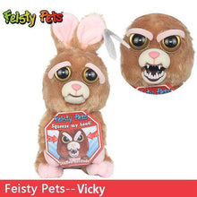Load image into Gallery viewer, Feisty Funny Expression Pets Plush Toy