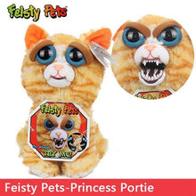 Load image into Gallery viewer, Feisty Funny Expression Pets Plush Toy