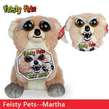 Load image into Gallery viewer, Feisty Funny Expression Pets Plush Toy