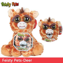Load image into Gallery viewer, Feisty Funny Expression Pets Plush Toy