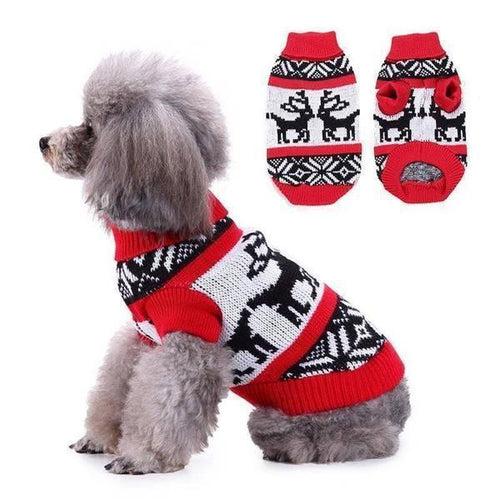 Festive Doggy Christmas Sweater