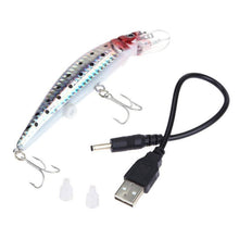 Load image into Gallery viewer, Fishing Lure