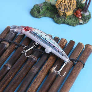 Fishing Lure