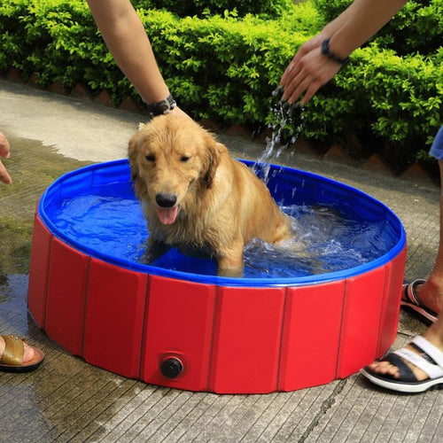 Foldable Pet Dog Swimming Pool