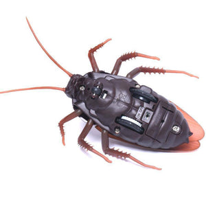 Funny RC Cockroach