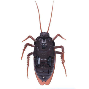 Funny RC Cockroach