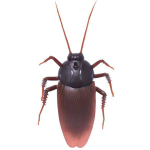 Funny RC Cockroach