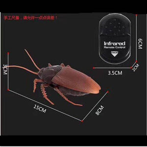 Funny RC Cockroach