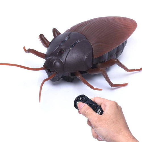 Funny RC Cockroach
