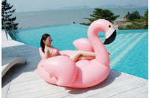 Load image into Gallery viewer, Giant Inflatable Flamingo