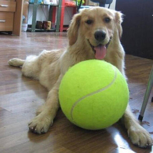 Giant Tennis Ball  Toy for Dog Chewing Toy