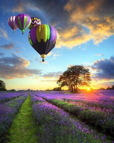 Hot Air Balloon Lavender Field DIY Painting By Number Kit